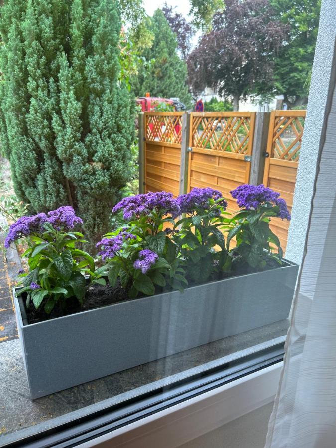 Fewo By Hd Mit Parkplatz, Wallbox, Wintergarten Bad Salzuflen Ngoại thất bức ảnh